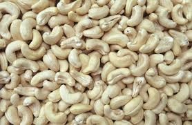 Cashew