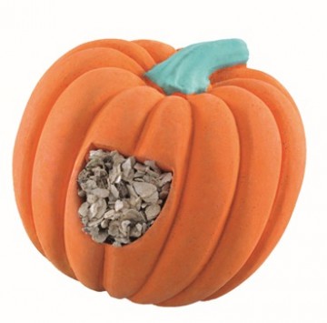 Pompoen mineraalblok site