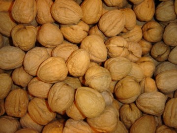 Walnoten